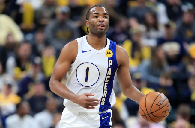 展示了极高 展示了极高