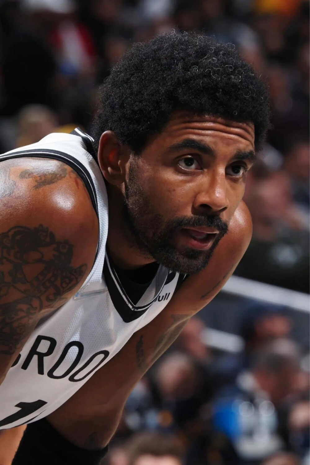 迷对这一切 迷对这一切