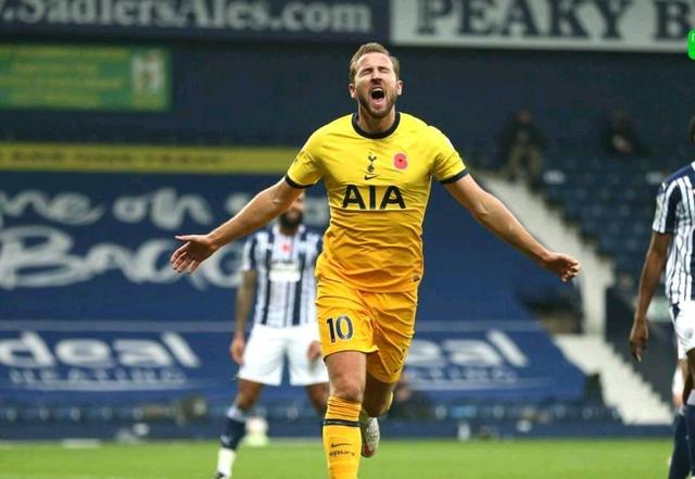 育界独树一 育界独树一