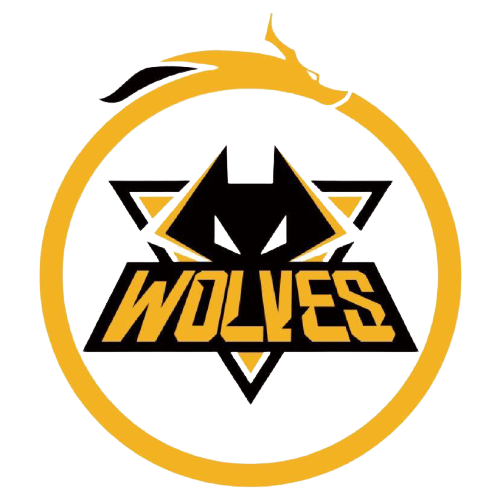 贡献的年轻 贡献的年轻