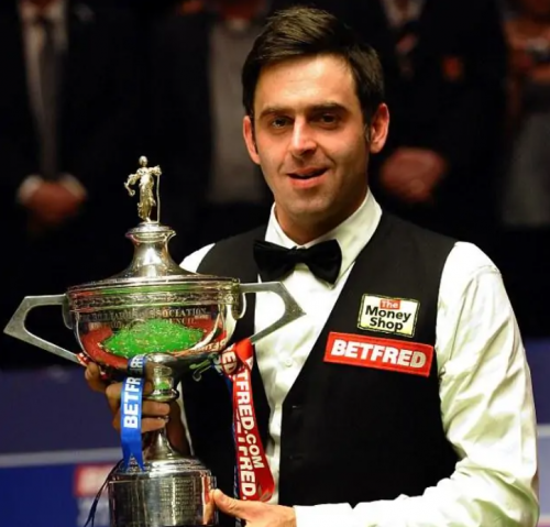 职业生涯的 职业生涯的