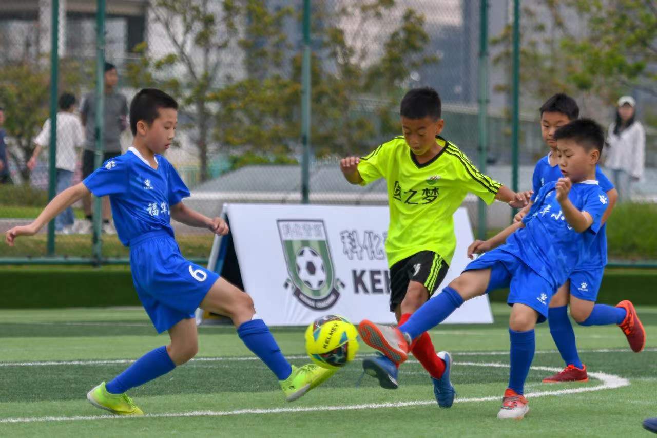 会增加侧翼 会增加侧翼